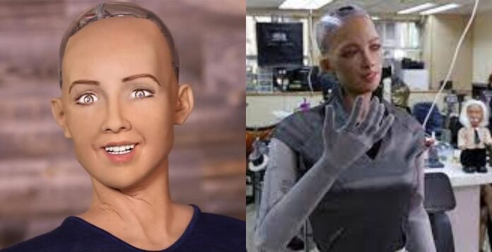 how did sophia the robot die