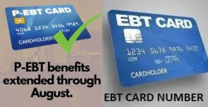 how to get my ebt card number without the card