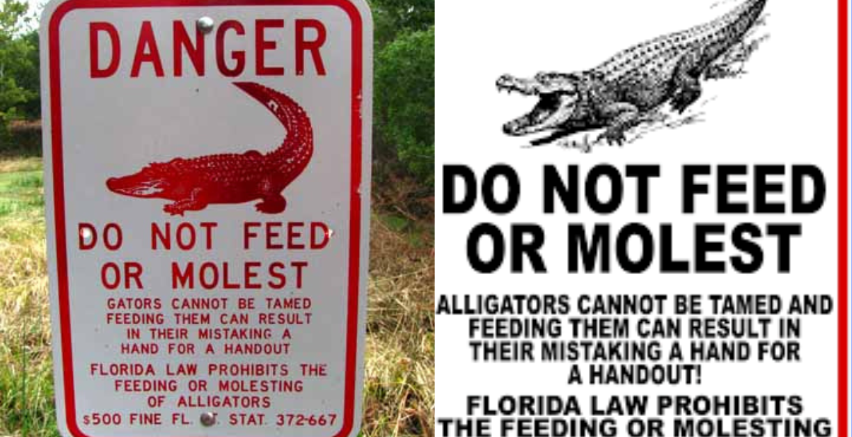 do not feed or molest alligators