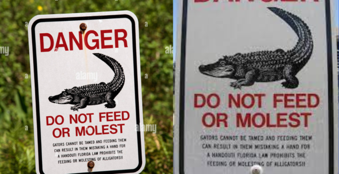 do not feed or molest alligators