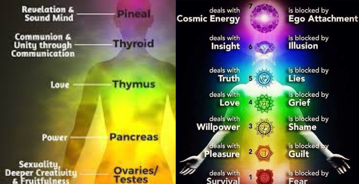 What Does Christianity Say About Chakras Data Bee Science   Untitled Design 66 