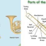 marching euphonium vs marching baritone