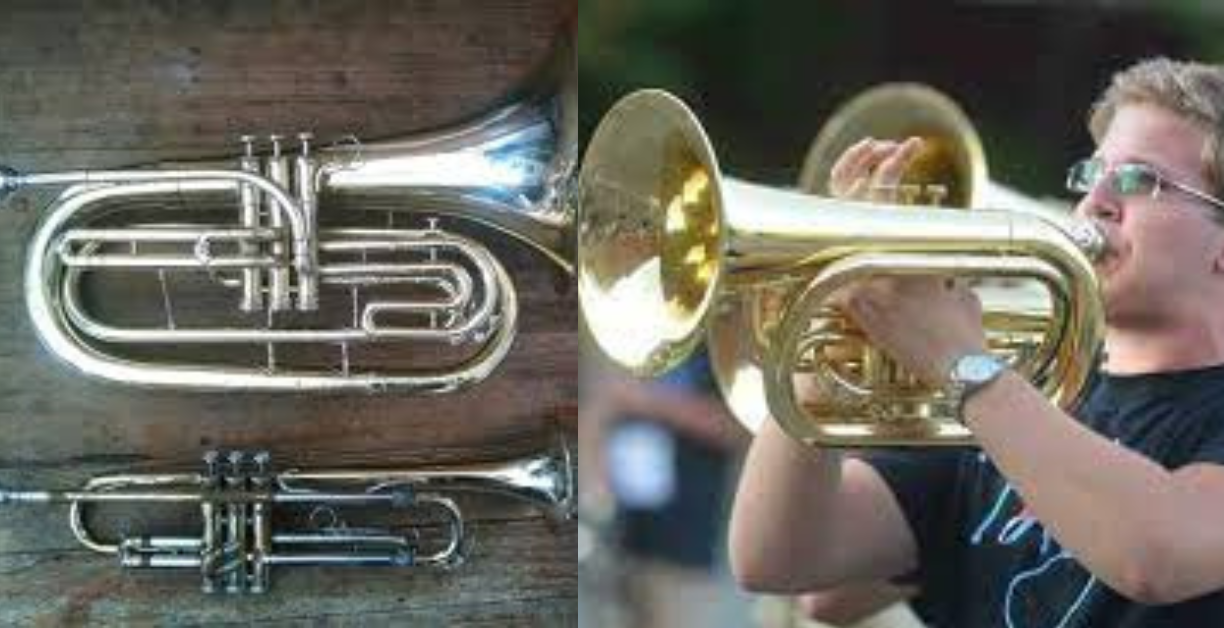 marching euphonium vs marching baritone