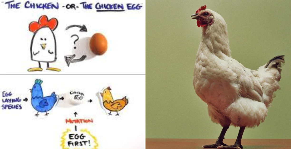 what came first the chicken or the egg scientific answer