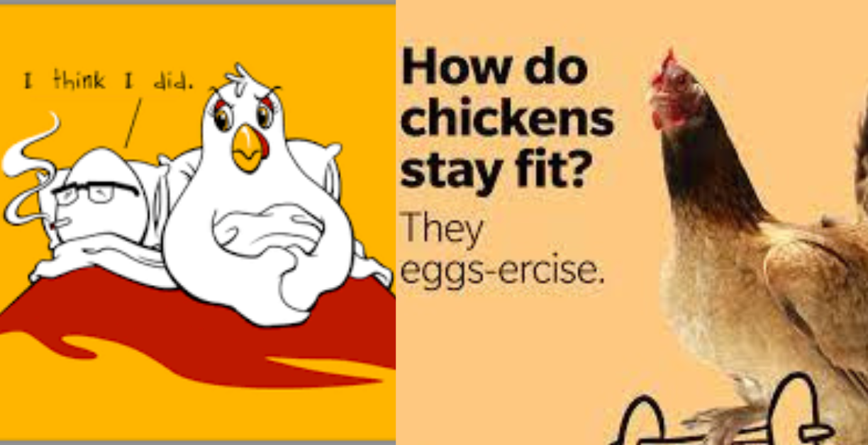 who came first egg or chicken funny answer