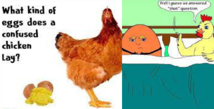 who came first egg or chicken funny answer